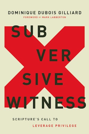 Subversive Witness book image