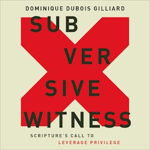 Subversive Witness book image