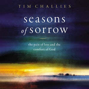 Seasons of Sorrow book image