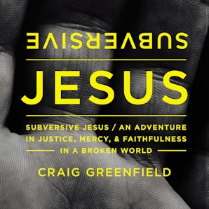 Subversive Jesus book image