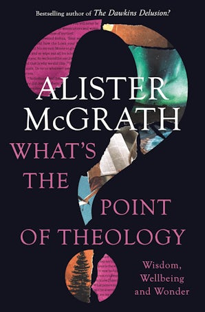 What's the Point of Theology? book image