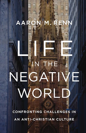 Life in the Negative World book image