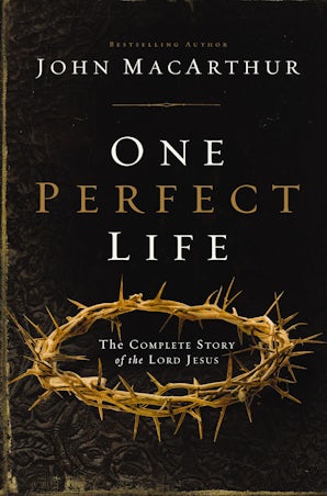 One Perfect Life book image