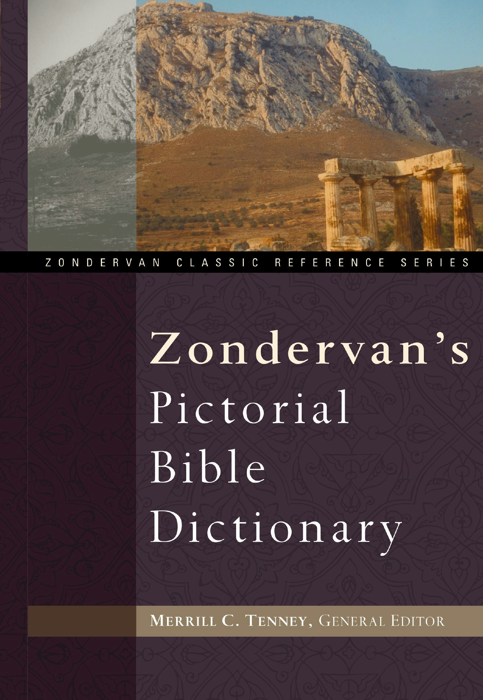 zondervan the bible experience