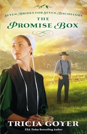 The Promise Box Paperback  by Tricia Goyer