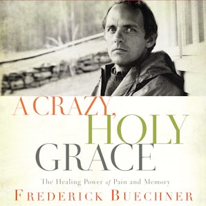 A Crazy, Holy Grace book image