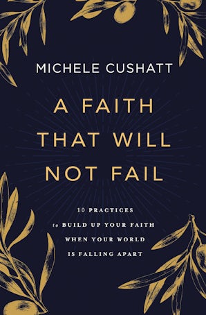 A Faith That Will Not Fail book image
