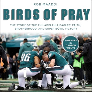 Birds of Pray book image