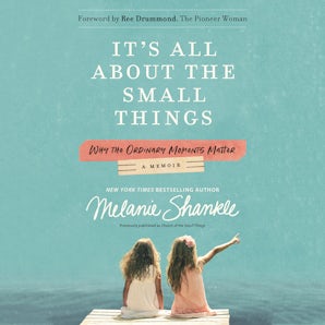 It's All About the Small Things book image
