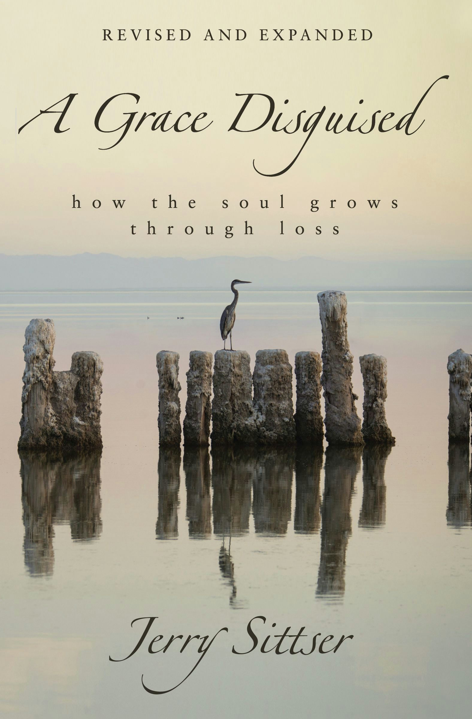 A Grace Disguised How the Soul Grows through Loss