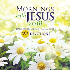 Mornings with Jesus 2018 book image