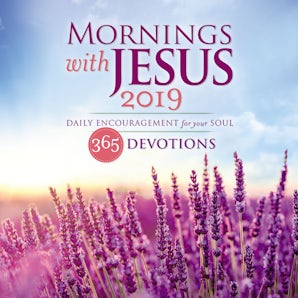 Mornings with Jesus 2019 book image