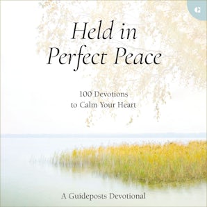 Held in Perfect Peace book image