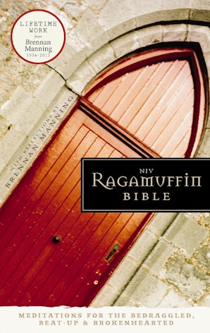 NIV, Ragamuffin Bible book image