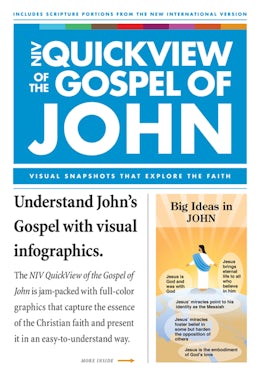 Niv Quickview Of The Gospel Of John Ebook - 