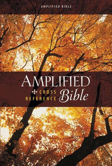 Amplified on sale bible online