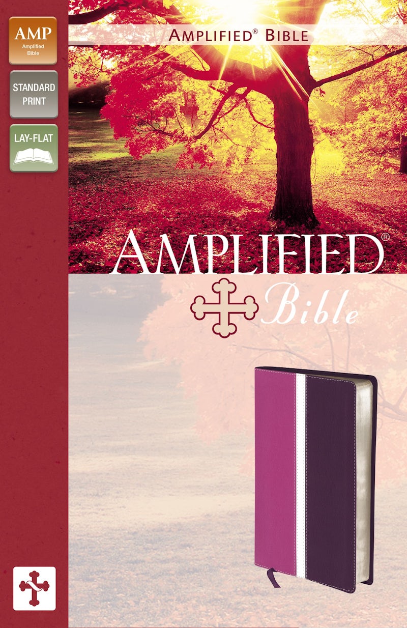 Amplified Bible, Imitation Leather, Pink/Purple
