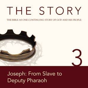 The Story Audio Bible - New International Version, NIV: Chapter 03 - Joseph: From Slave to Deputy Pharaoh book image