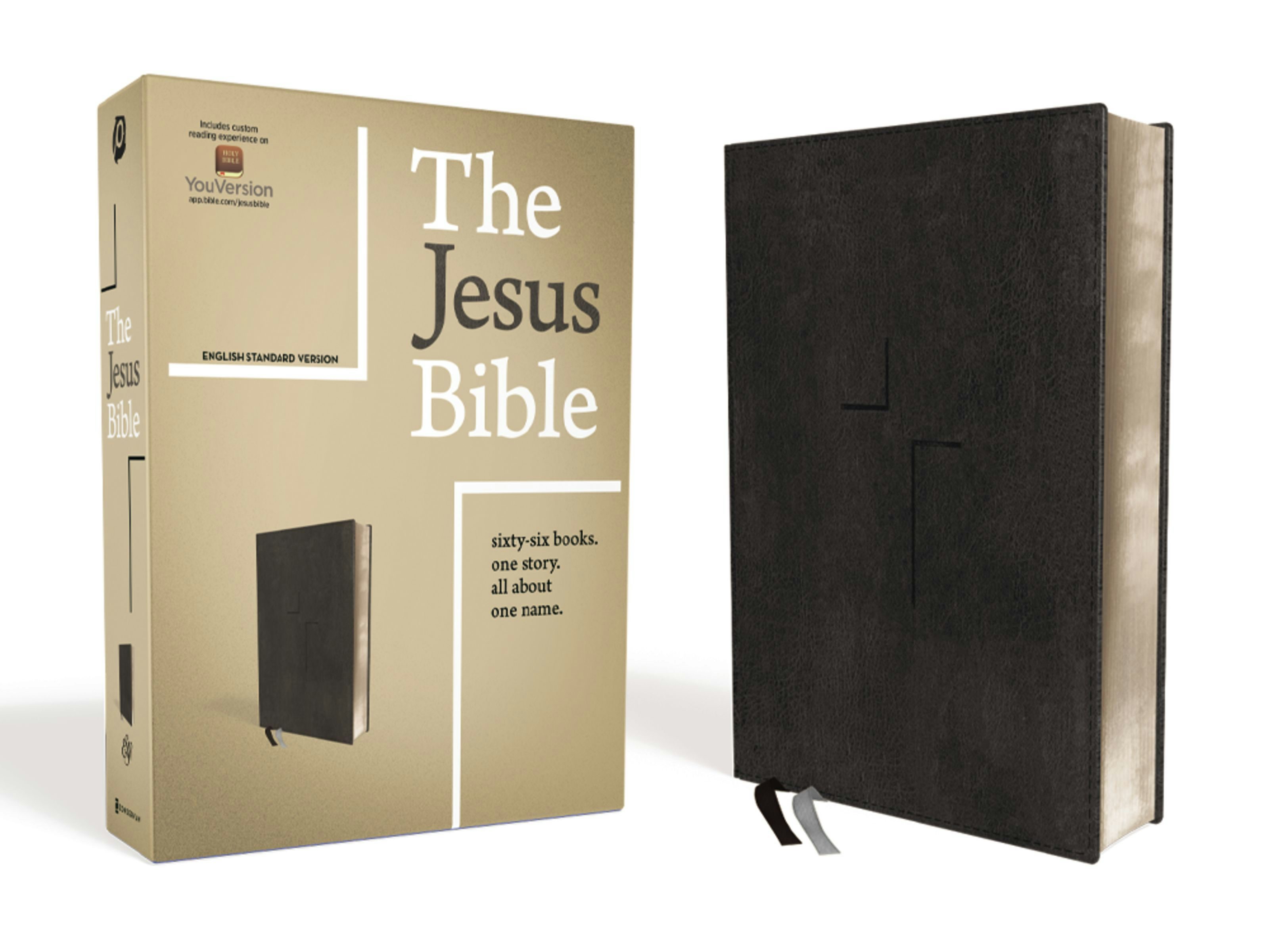 esv bible with thumb index