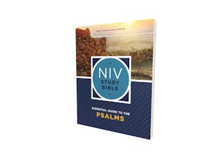 NIV Study Bible Essential Guide to the Psalms, Paperback, Red Letter, Comfort Print book image