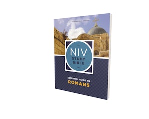 NIV Study Bible Essential Guide to Romans, Paperback, Red Letter, Comfort Print book image