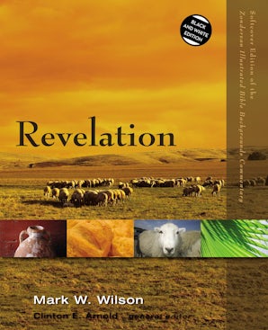 Revelation book image