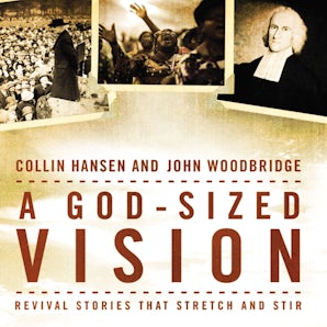 A God-Sized Vision book image