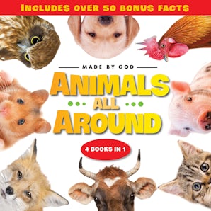 Animals All Around book image