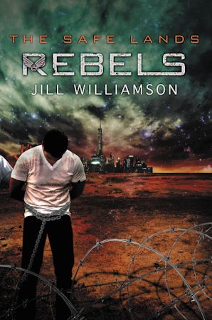 Rebels book image