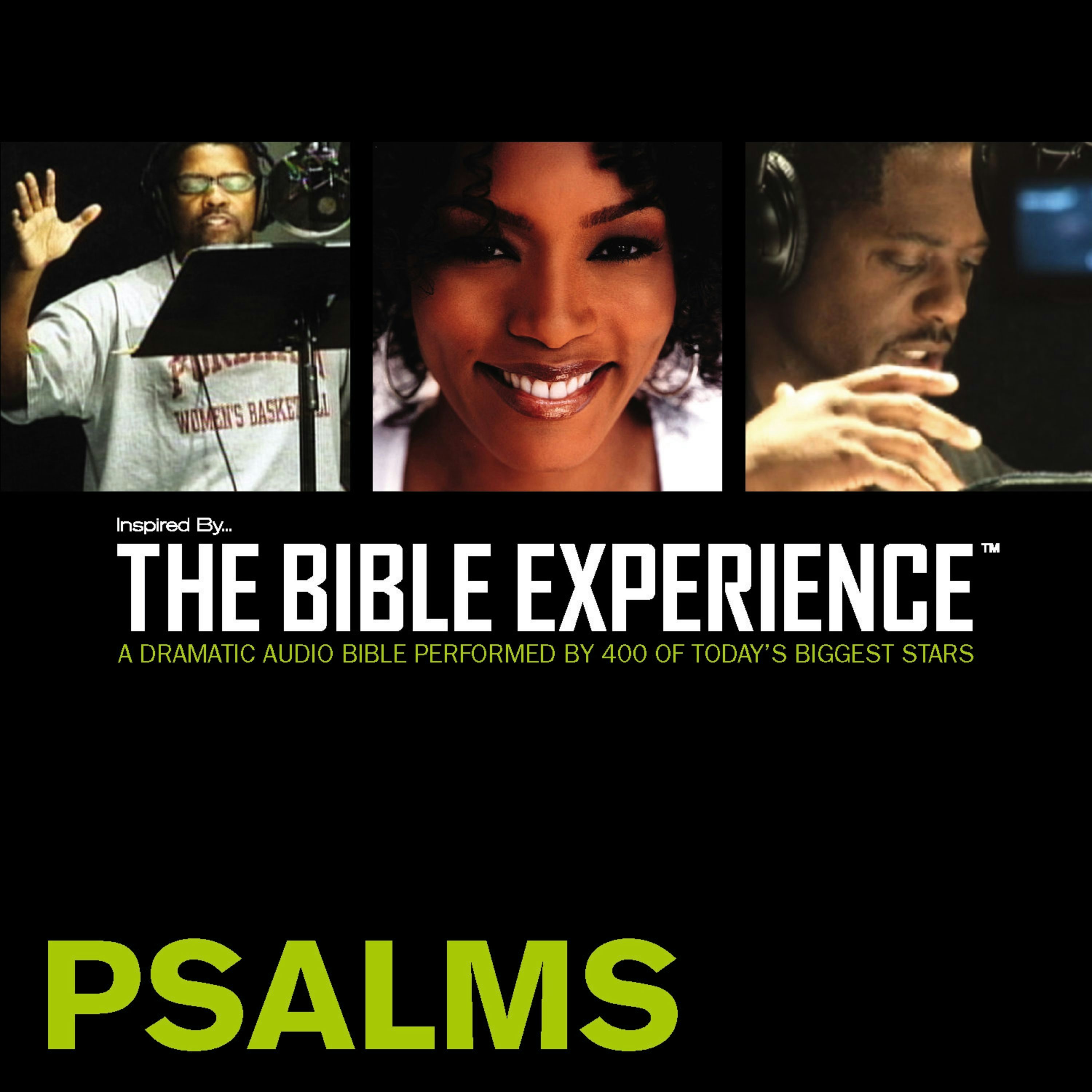 the bible experience complete torrent