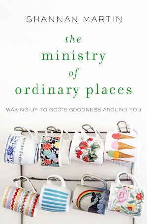 The Ministry of Ordinary Places book image