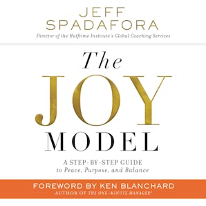 The Joy Model book image