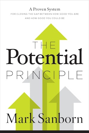 The Potential Principle book image