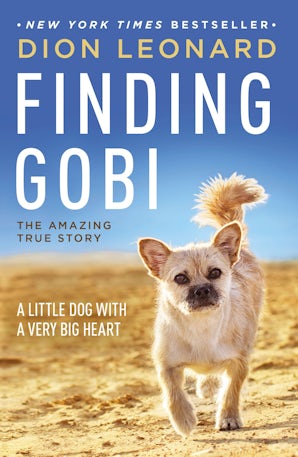 Finding Gobi book image