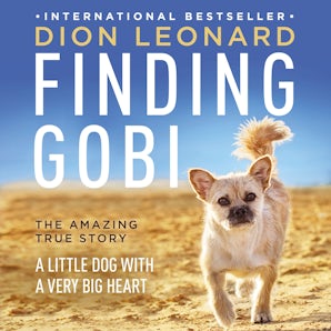 Finding Gobi book image