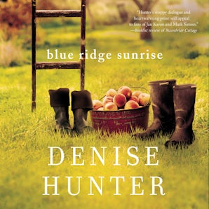 Blue Ridge Sunrise book image