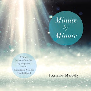 Minute By Minute book image