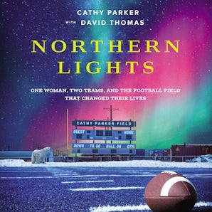 Northern Lights book image