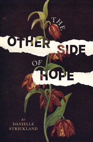 The Other Side of Hope book image