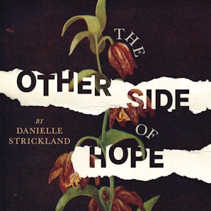 The Other Side of Hope book image