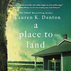 A Place to Land book image