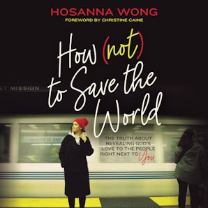 How (Not) to Save the World book image