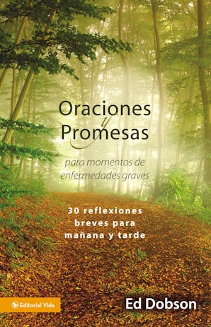 Oraciones y promesas book image