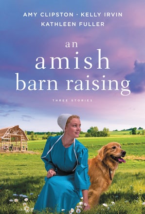 An Amish Barn Raising book image