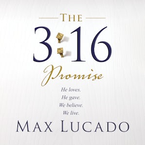 The 3:16 Promise book image