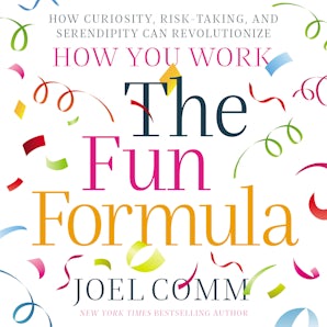 The Fun Formula book image