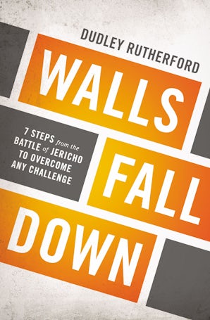 Walls Fall Down book image