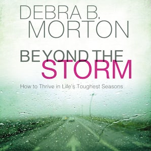 Beyond the Storm book image