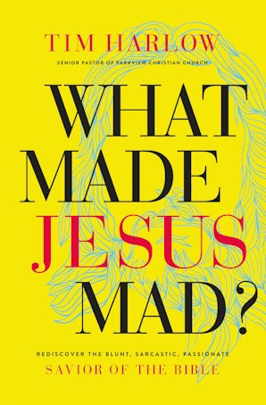 What Made Jesus Mad? book image