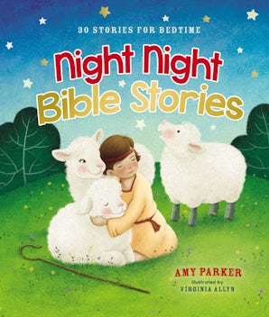 Night Night Bible Stories book image